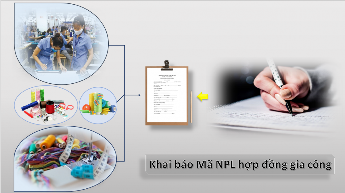 Vấn đề Khai báo mã Nguyên phụ liệu cho hợp đồng gia công