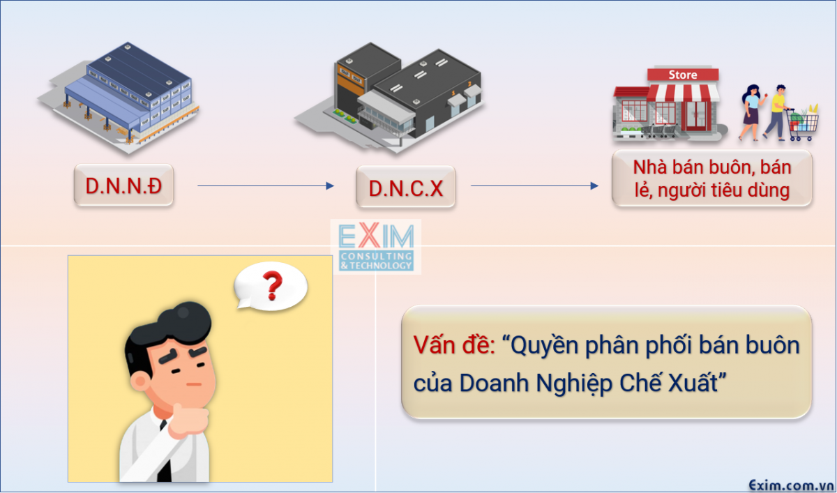 Vấn đề: Quyền phân phối bán buôn của Doanh Nghiệp Chế Xuất